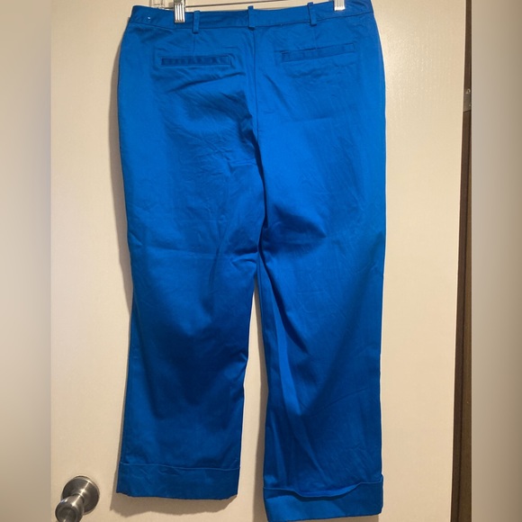 Worthington capris - Picture 2 of 4